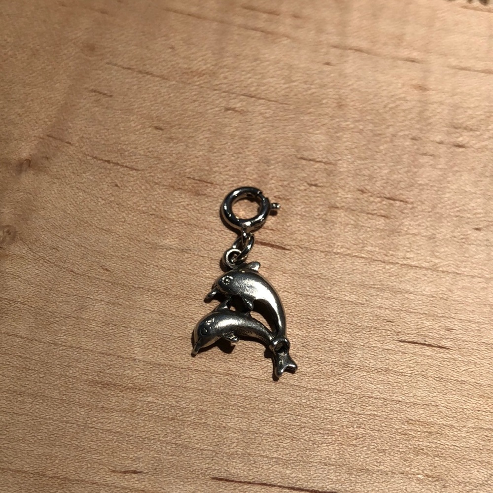 Dolphin charm